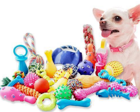 Pet supplies 宠物用品